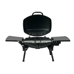 Barbacoa a Supergas de Mesada Xion