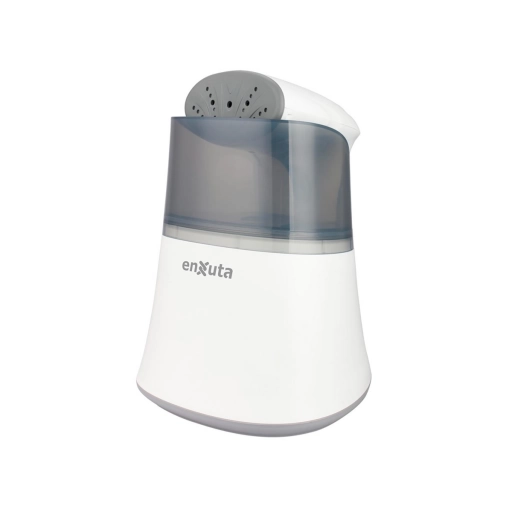 Plancha a Vapor Porttil Enxuta 1000W 700ml