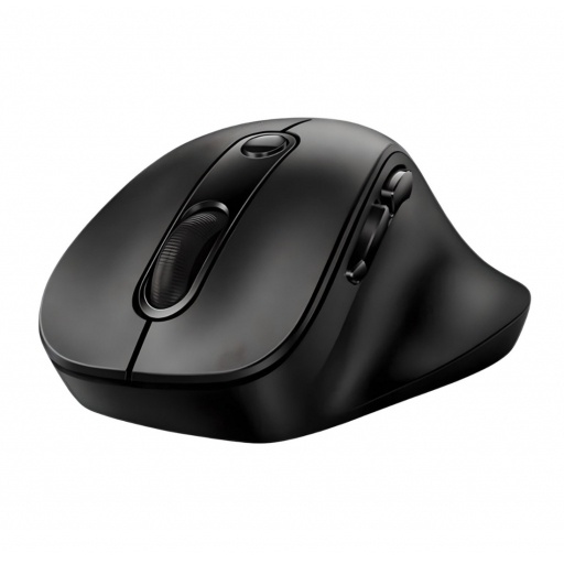 Mouse Genius Ergo 9000S negro NNET