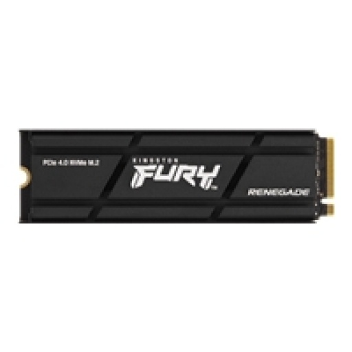 DISCO SSD FURY RENEGADE 1TB
