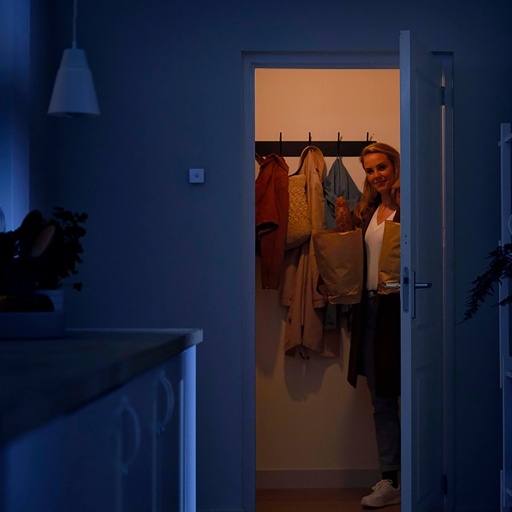 Sensor De Movimiento Para Luces Philips Wiz Alcance 3m