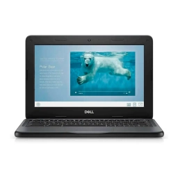 Chromebook Dell 3100 Celeron N4200 4GB 32GB eMMC 11.6 HD ChromeOS