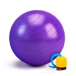 Pelota de Pilates Randers ARG-074 65cm 